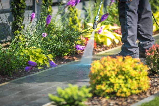 Best Dumpster Area Cleaning  in Rockwell, AR