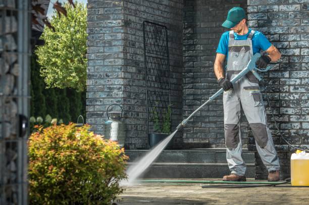 Animal Enclosure Cleaning in Rockwell, AR